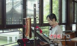 逃跑老鱼的爆料视频播放,事件真相与幕后黑幕大起底