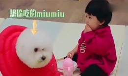 娱乐吃瓜妞,揭秘娱乐圈那些不为人知的幕后故事